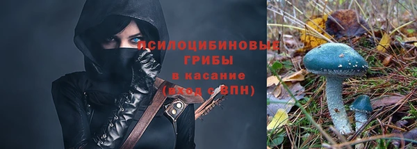 прущие крисы Алексеевка