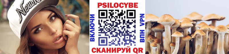 как найти   Талица  Псилоцибиновые грибы ЛСД 